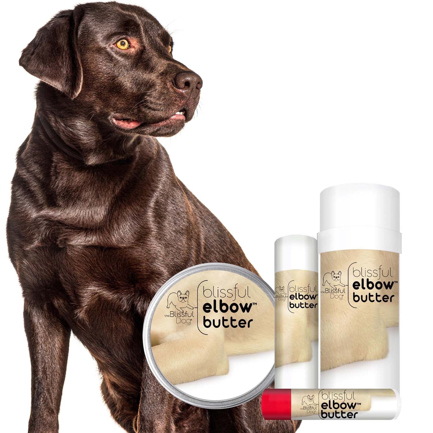 Elbow Butter for Your Dog&#39;s Elbow Calluses