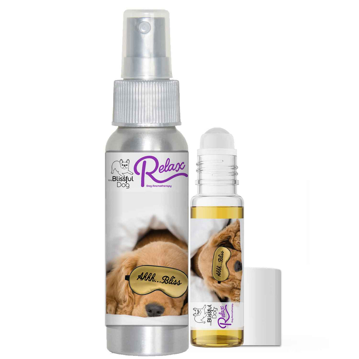 english cocker spaniel scared thunderstorms