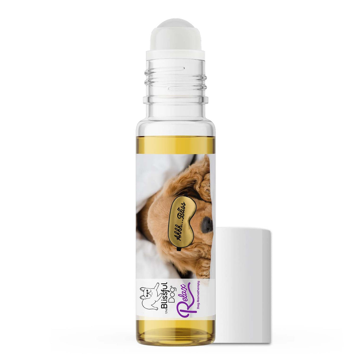 english cocker spaniel calming 