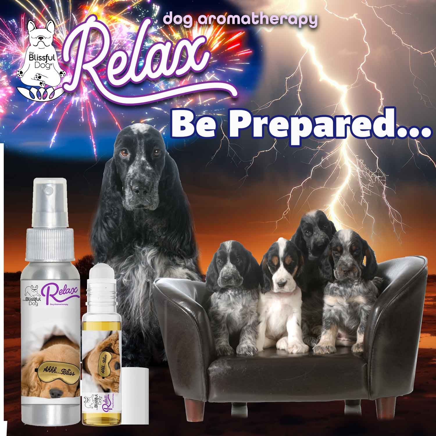 English Cocker Spaniel Afraid? Relax Dog Aromatherapy Calms Fears - The ...