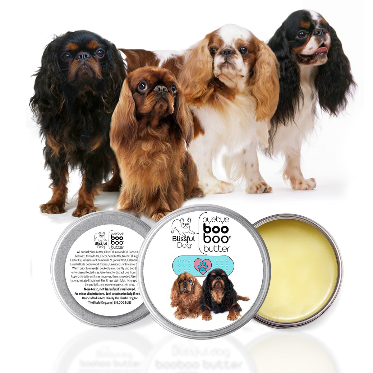 english toy spaniel grooming