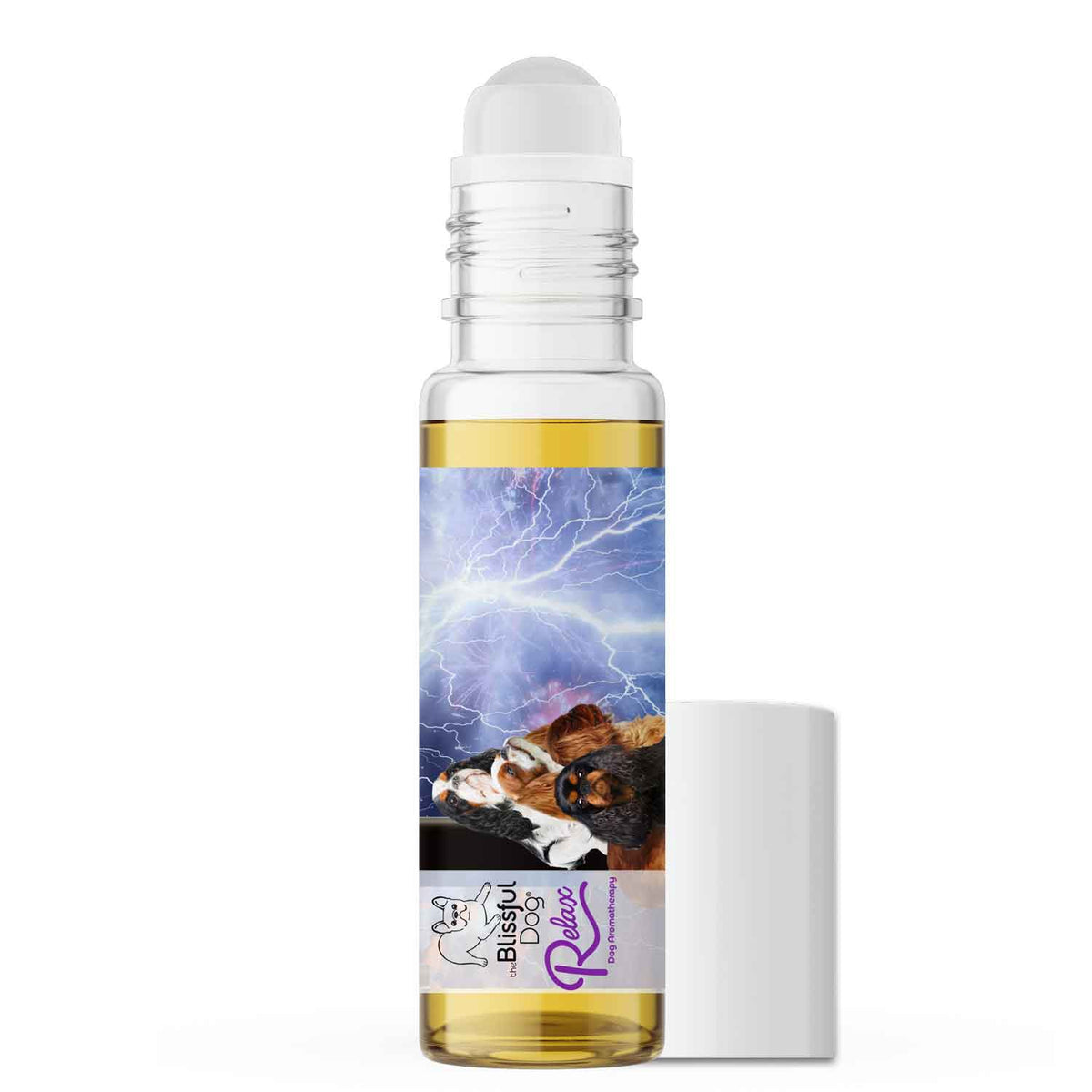 english toy spaniel relax dog aromatherapy