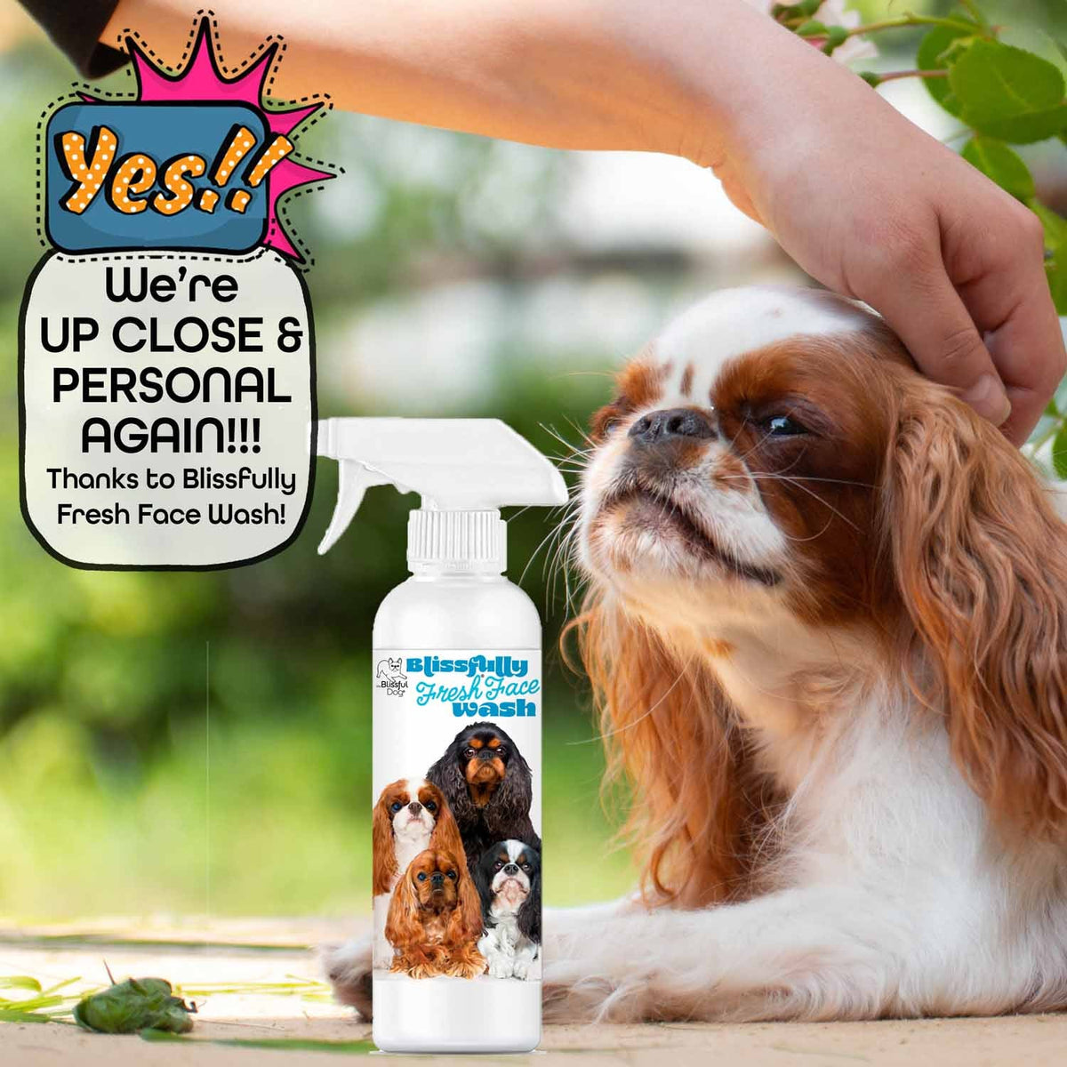 English Toy Spaniel Blissfully Fresh™ Face Wash