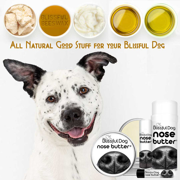 The Blissful Dog Nose Butter® All Natural Balm For Dry Dog Noses