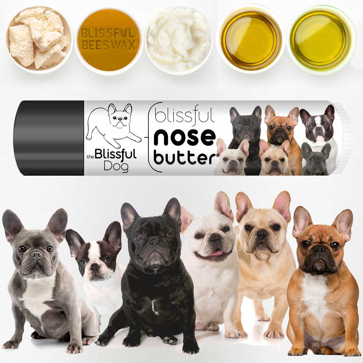 french bulldog dry nose butter