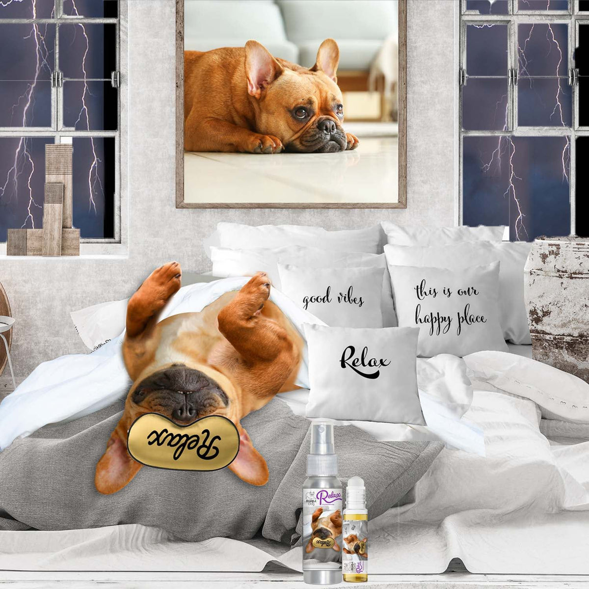 french bulldog aromatherapy