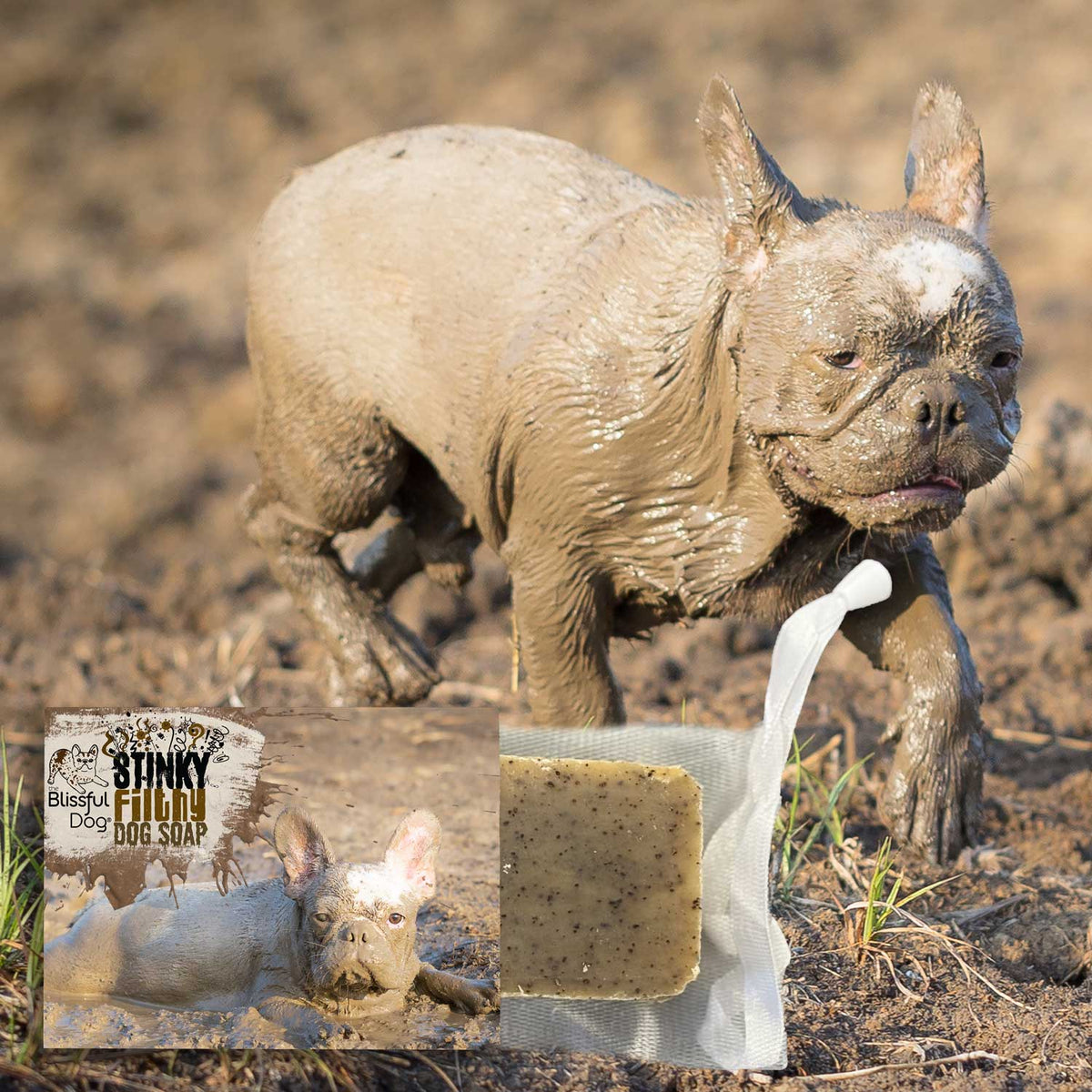 Stinky Filthy Dog Soap