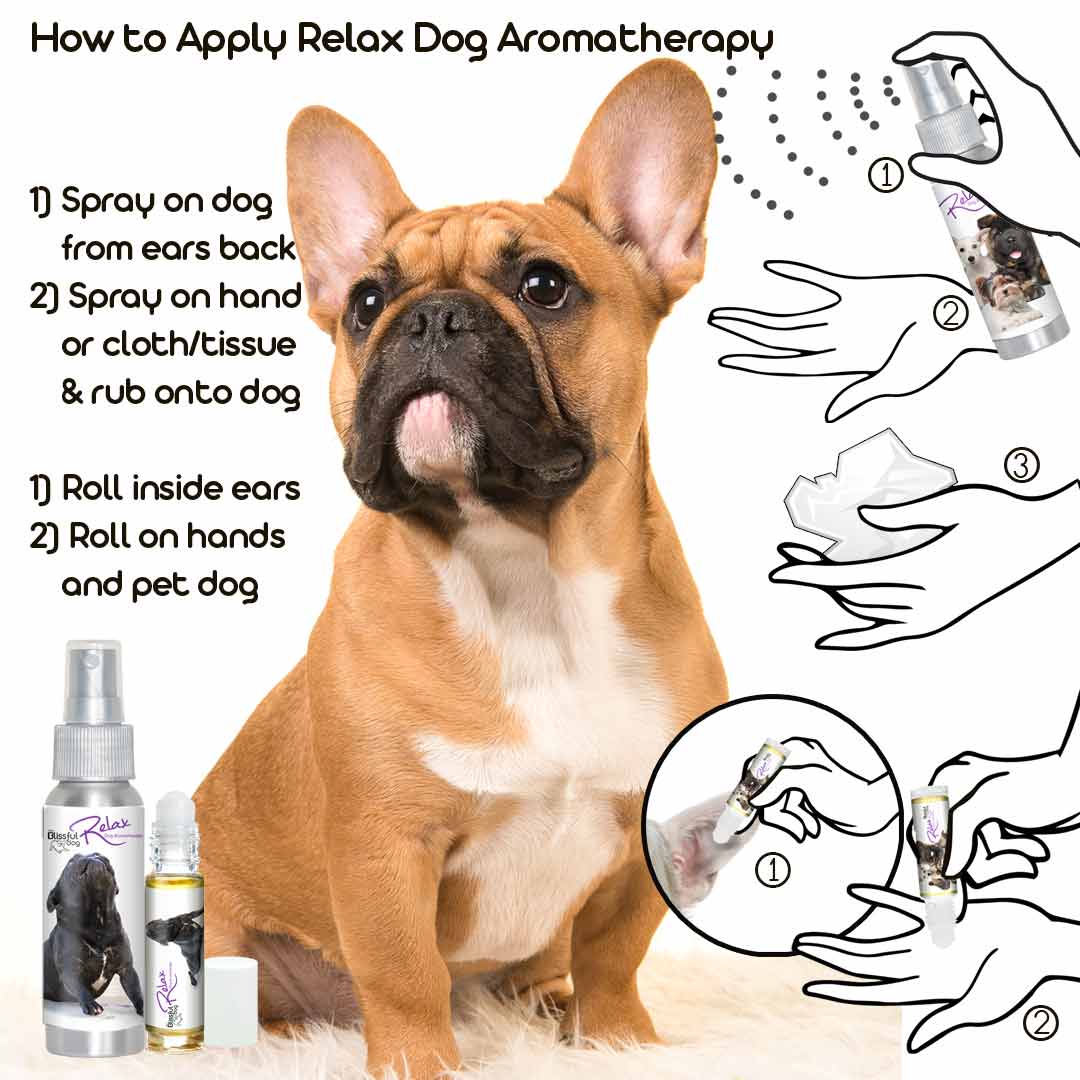 apply dog aromatherapy