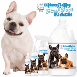 French Bulldog face cleaner