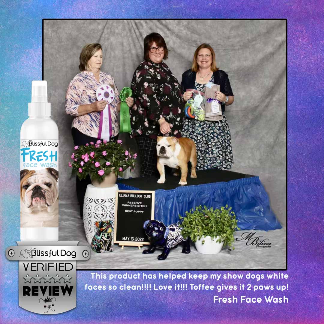 bulldog face wash