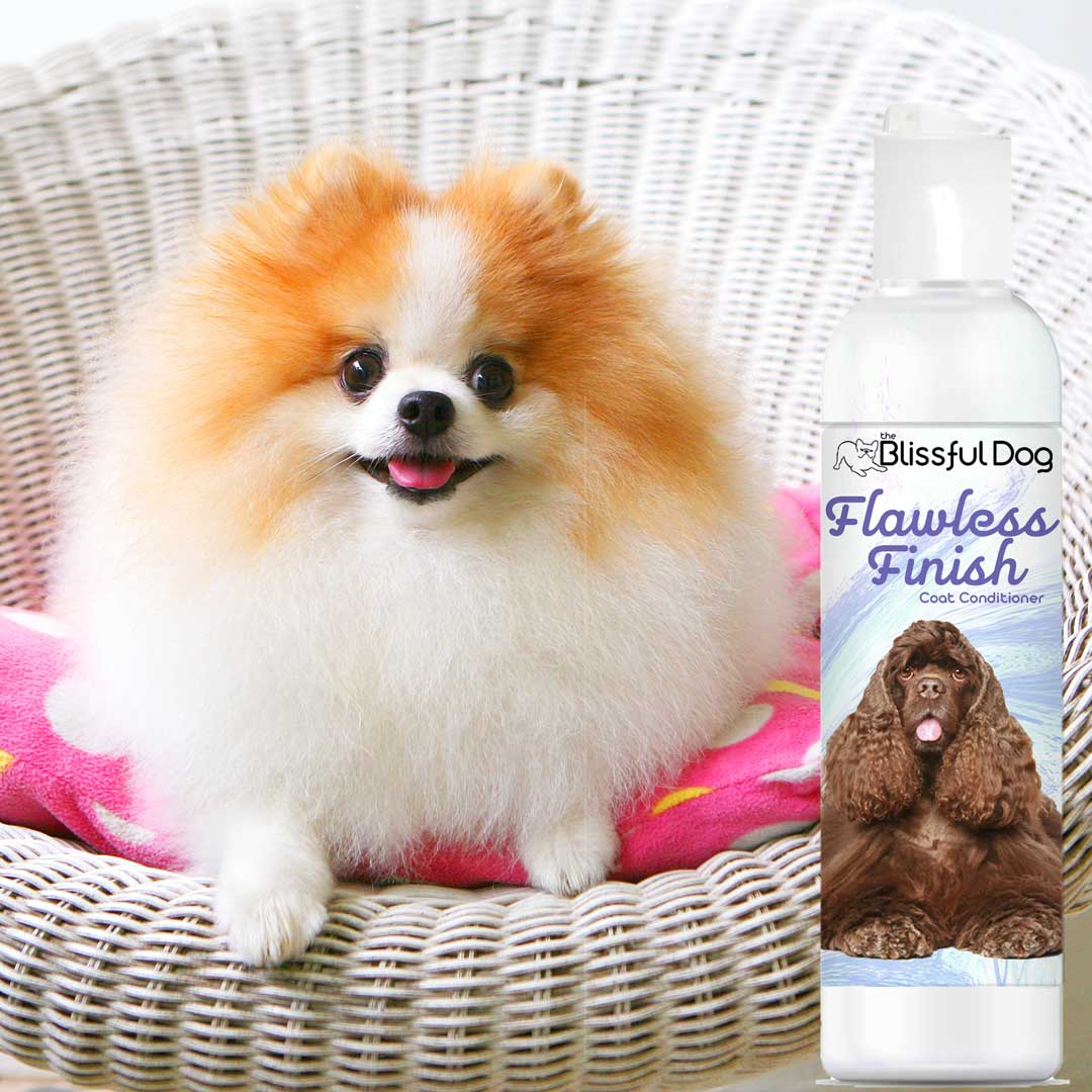 The Blissful Dog Flawless Finish Dog Coat Conditioner A Performance