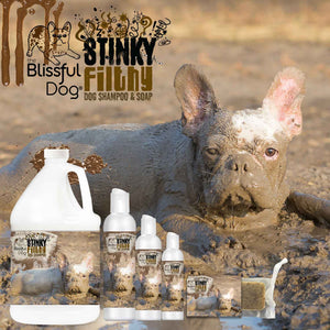 Stinky Filthy Dog Shampoo & Soap