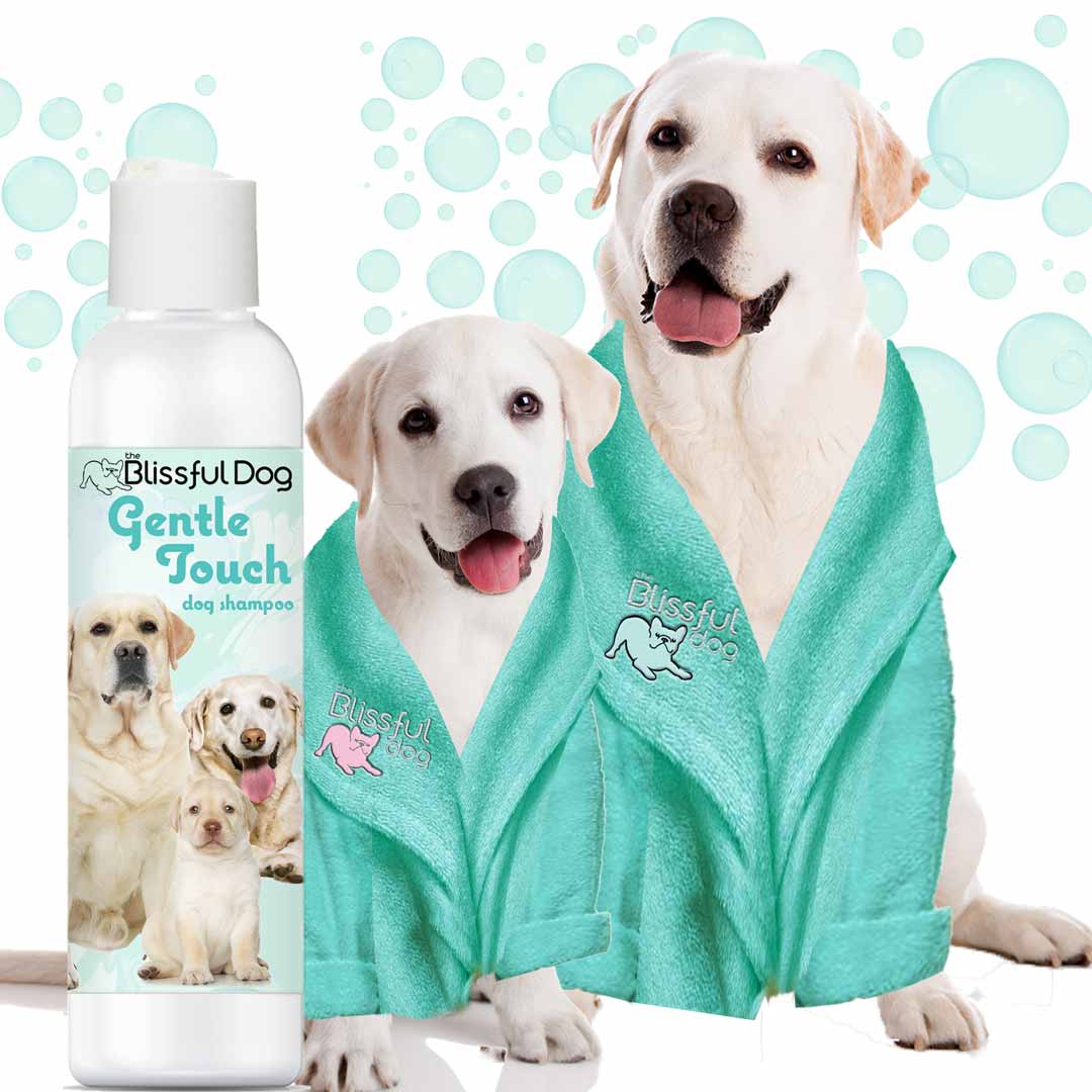Gentle Dog Shampoo