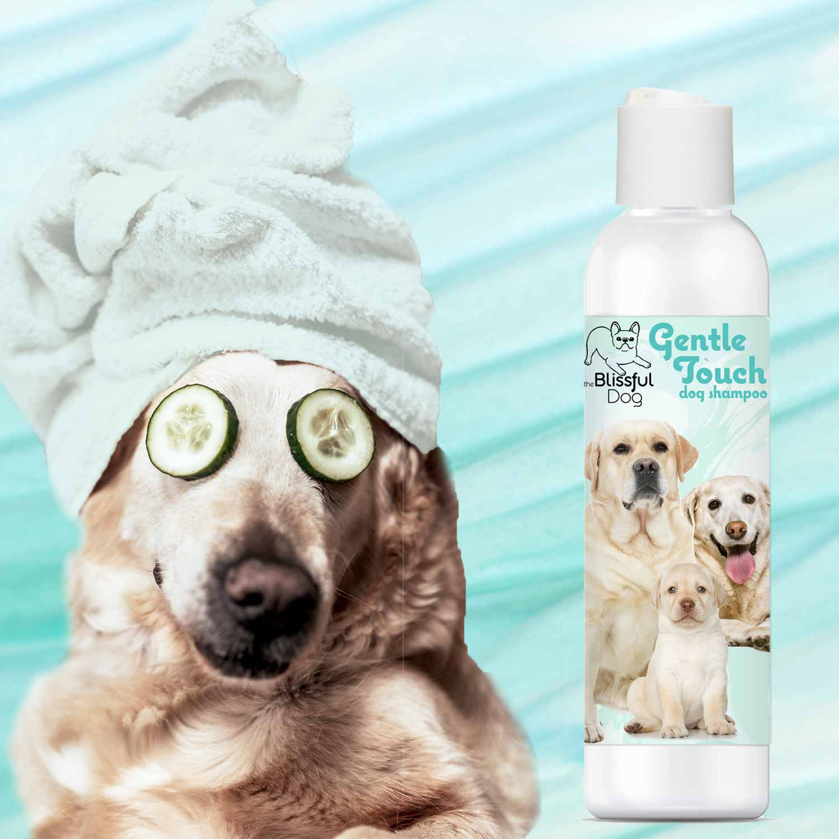senior dog shampoo