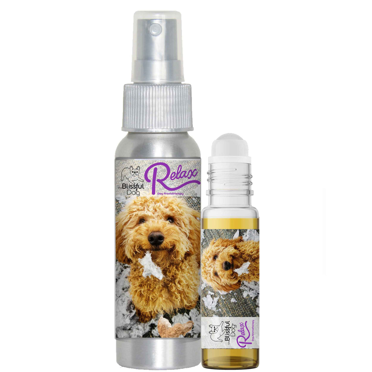 goldendoodle afraid thunder