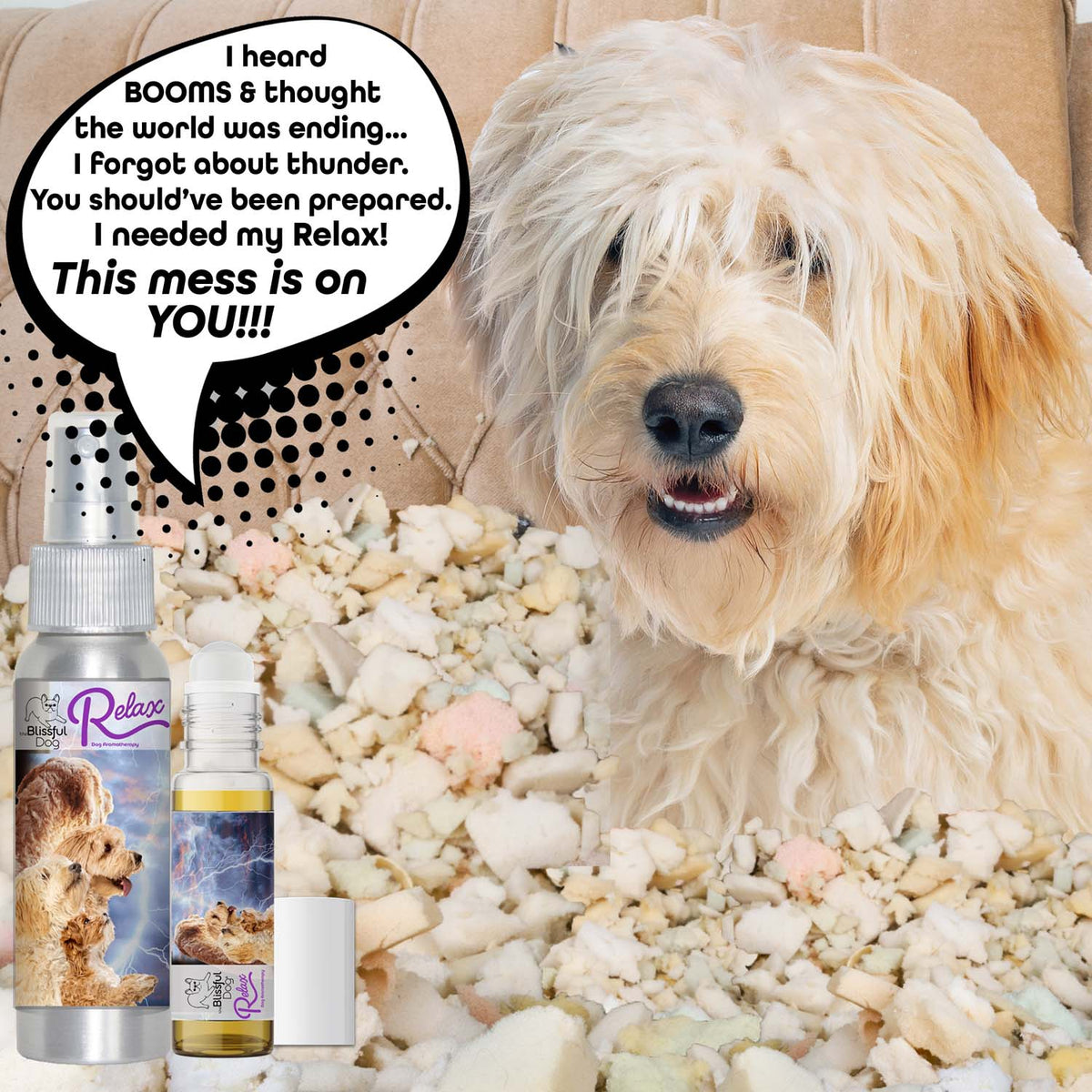 goldendoodle separation anxiety