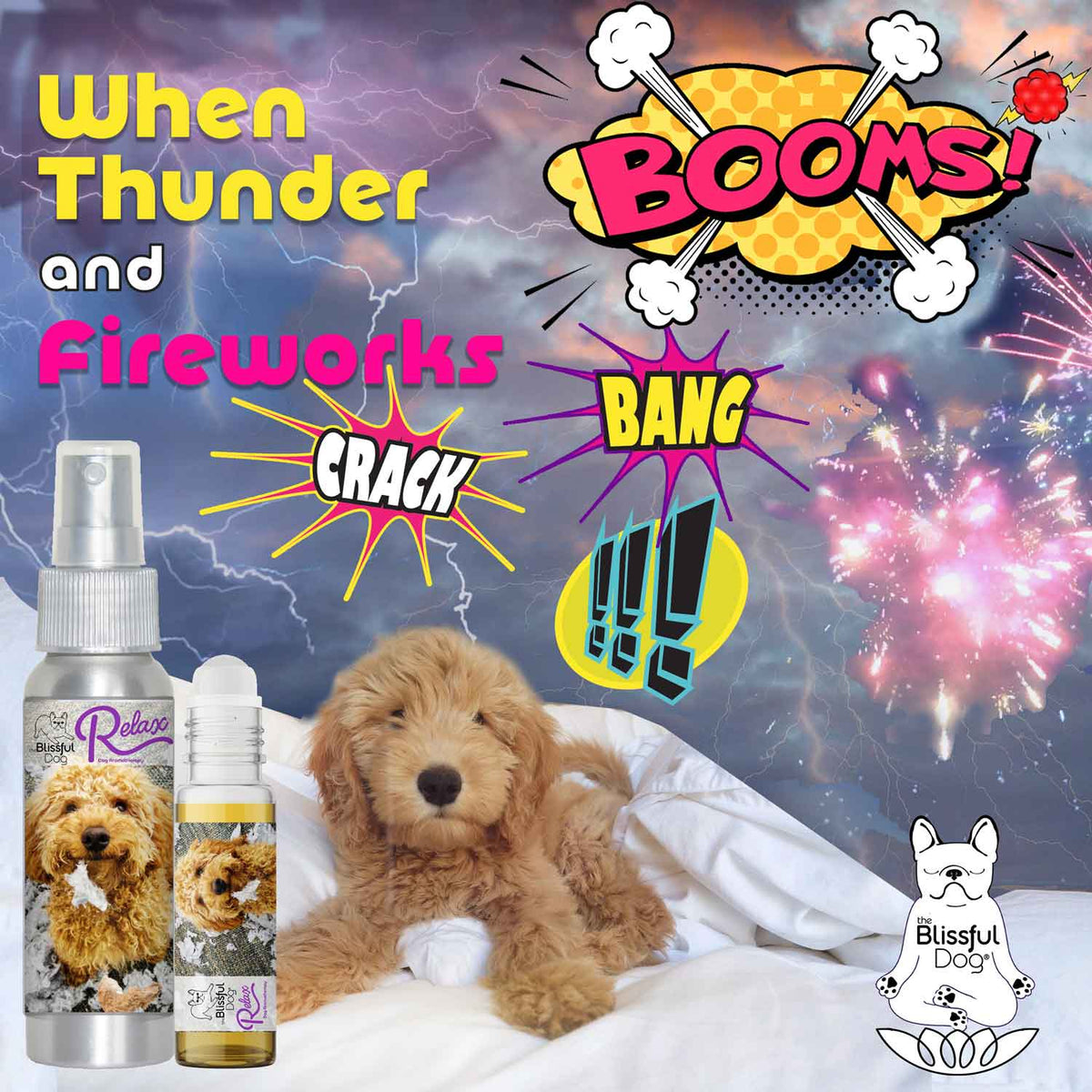 goldendoodle scared thunderstorms
