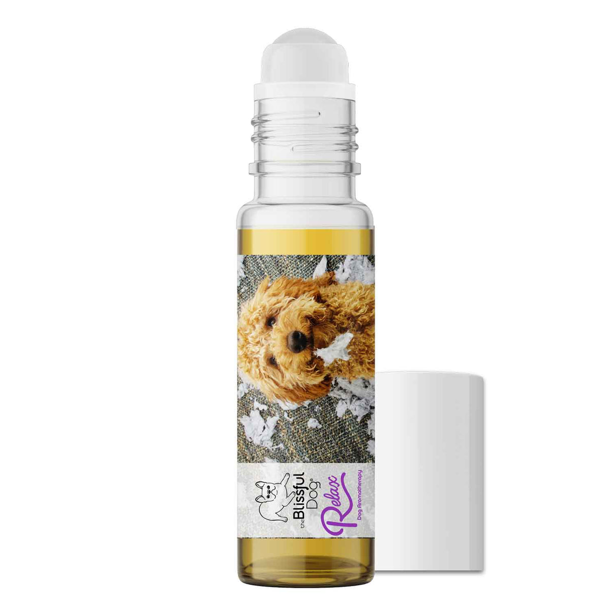 goldendoodle dog aromatherapy