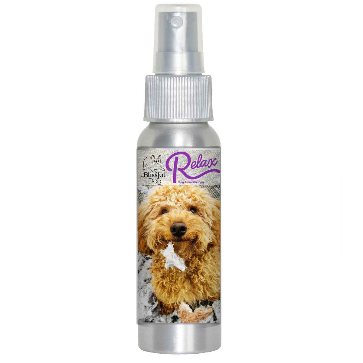 goldendoodle scared fireworks