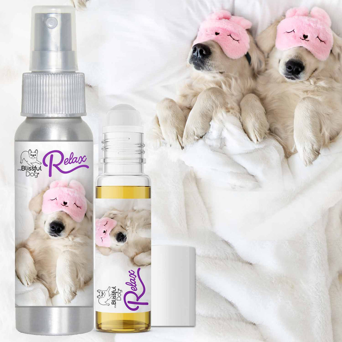 Golden Retriever Relax Dog Aromatherapy