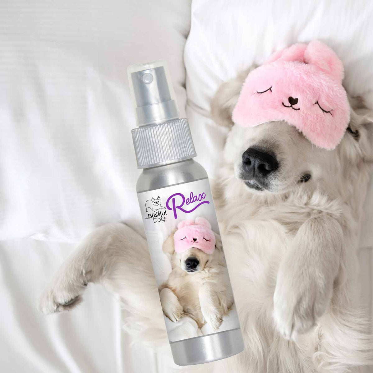 Golden Retriever Relax Dog Aromatherapy