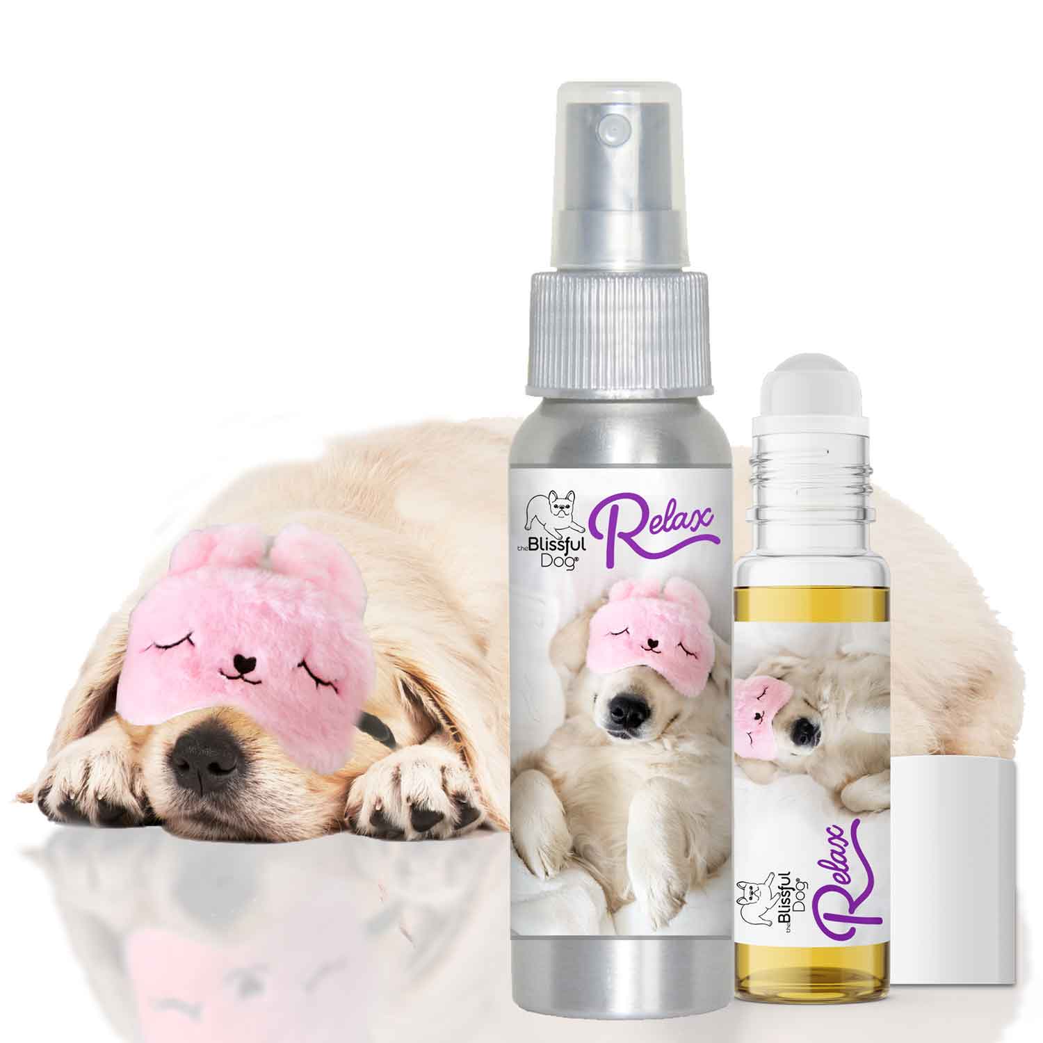 Golden Retriever Relax Dog Aromatherapy