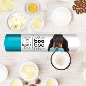 gordon setter skin care