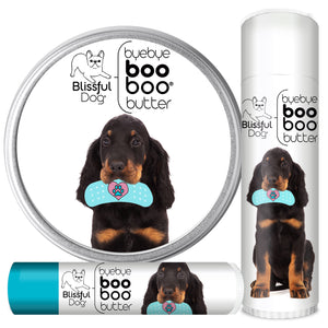 gordon setter itchy skin