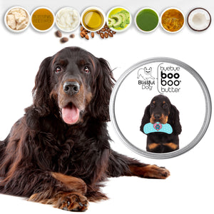 gordon setter skin balm