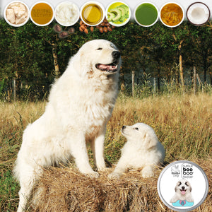 great pyrenees skin care