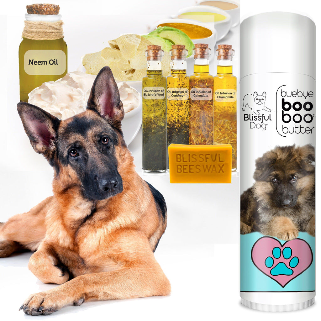 Itchy Skin Dog Food For German Shepherds With Allergies Gsd Best