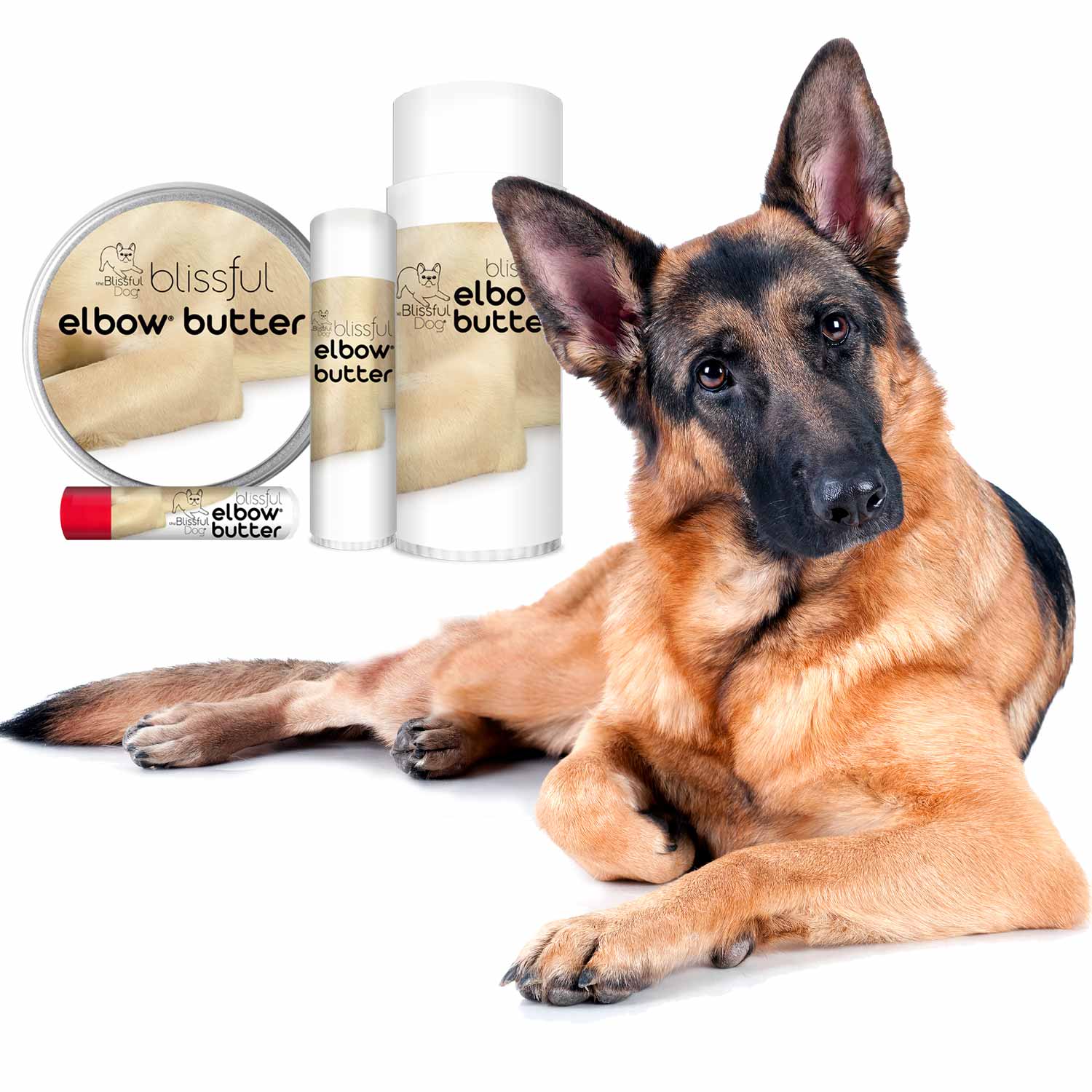 The Blissful Dog Blissful Elbow™ Butter Balm For Dog Elbow Calluses