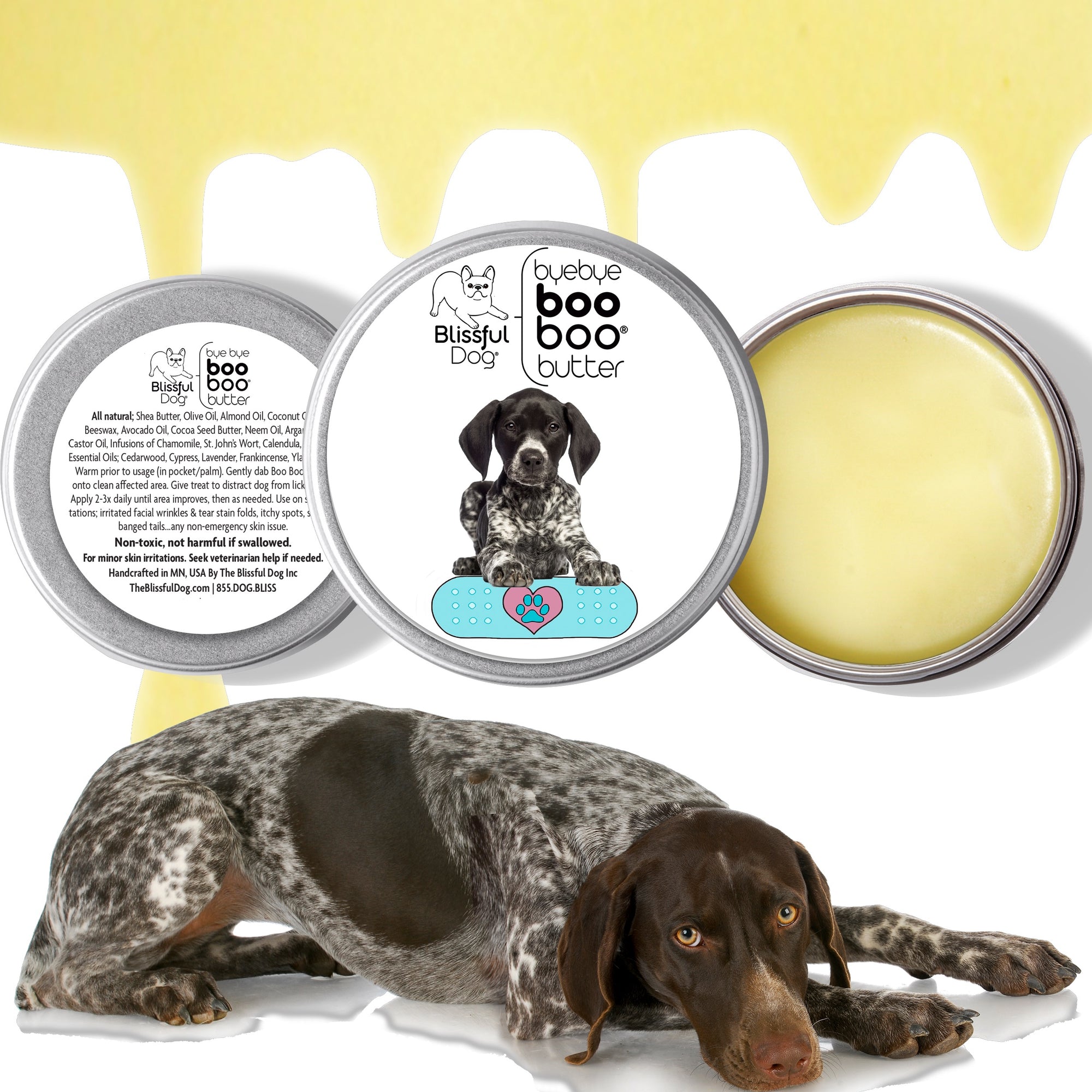 german shorthaired pointer skin care