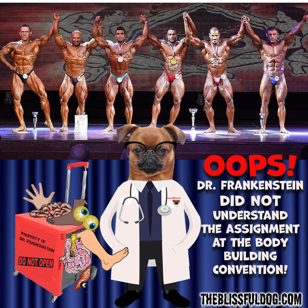 Dr Frankenstein pun
