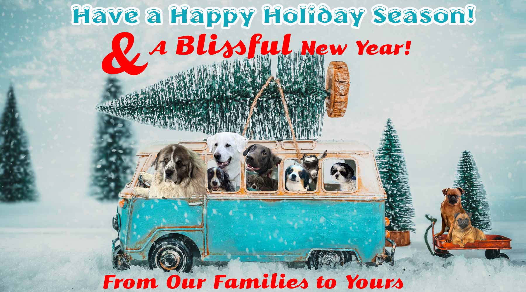 Blissful Dogs in VW Van share Christmas greetings