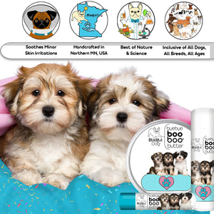 havanese dog skin care