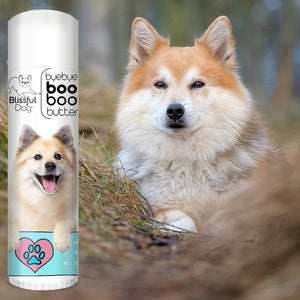 icelandic sheepdog balm