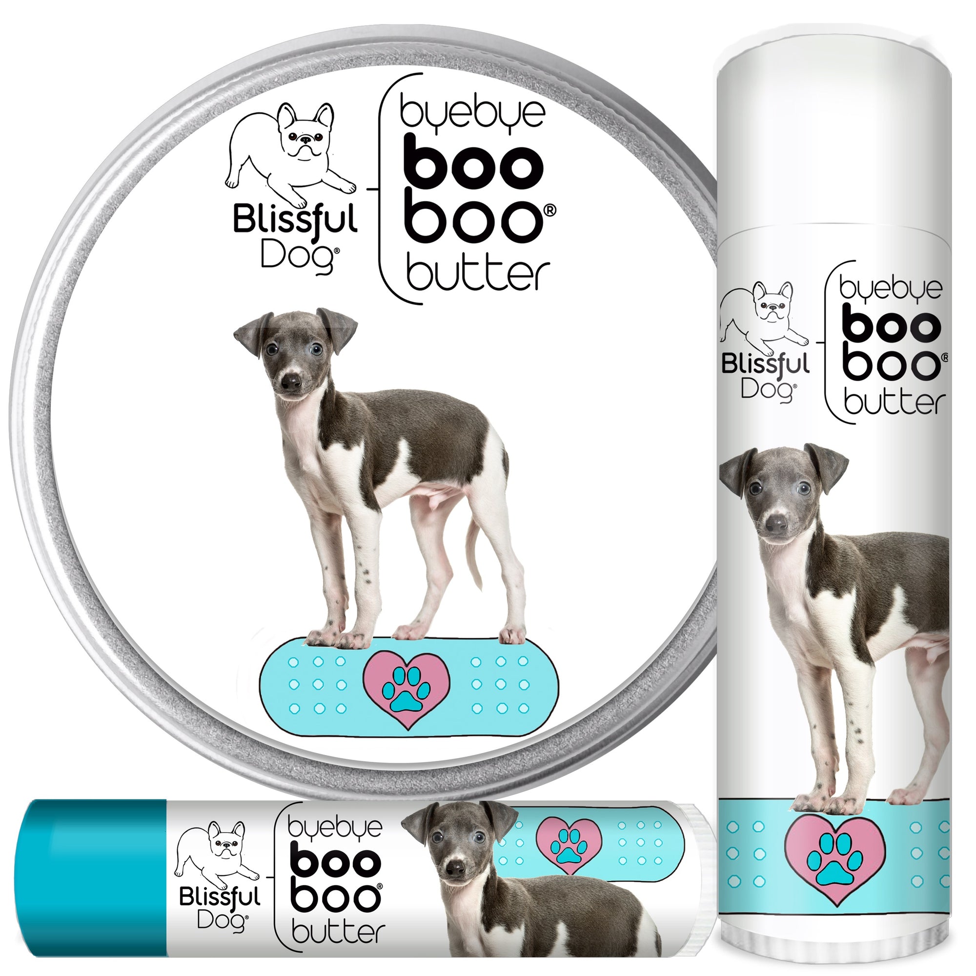 italian greyhound skin care