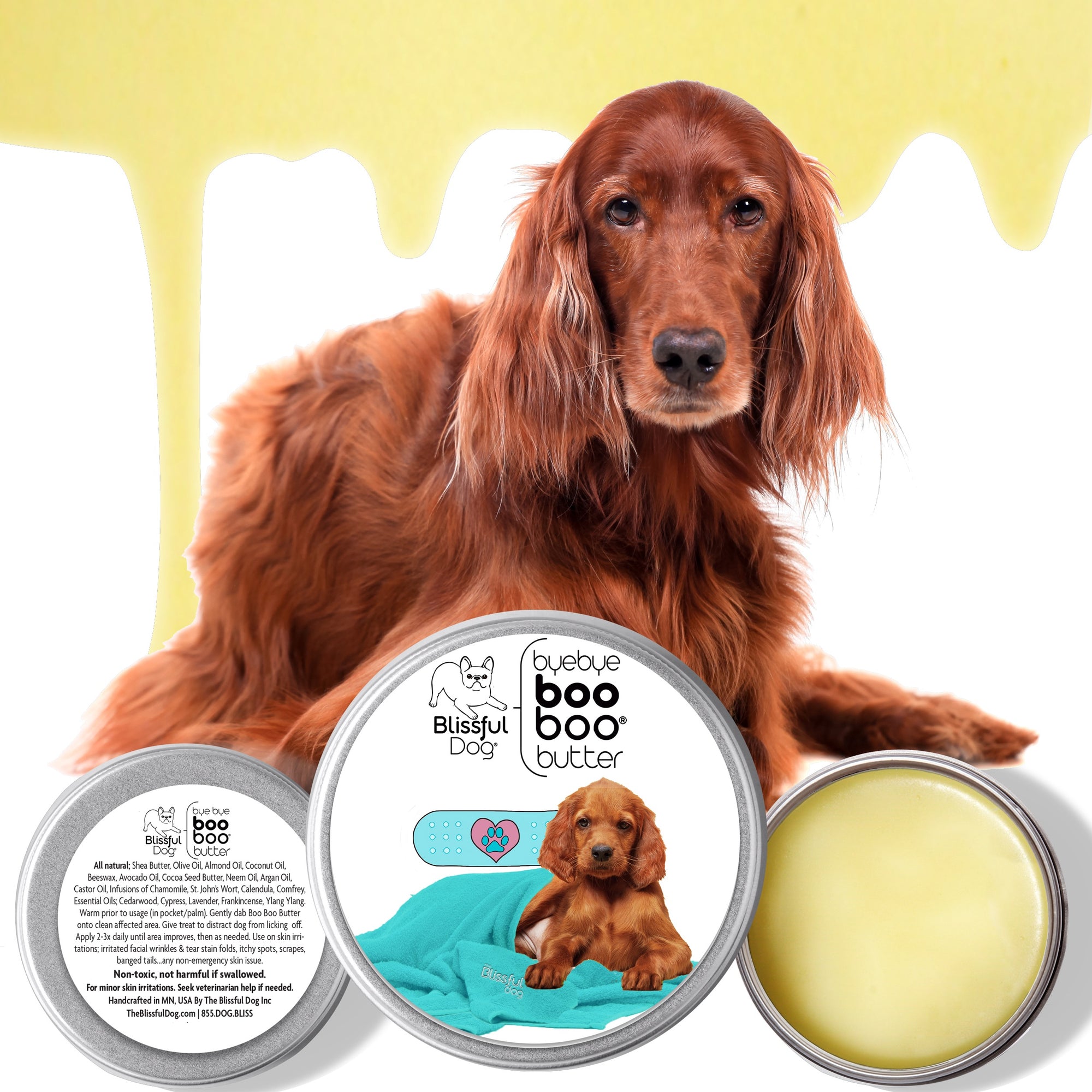 irish setter boo boo butter