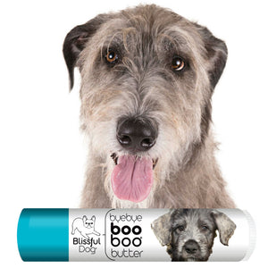 irish wolfhound dry skin