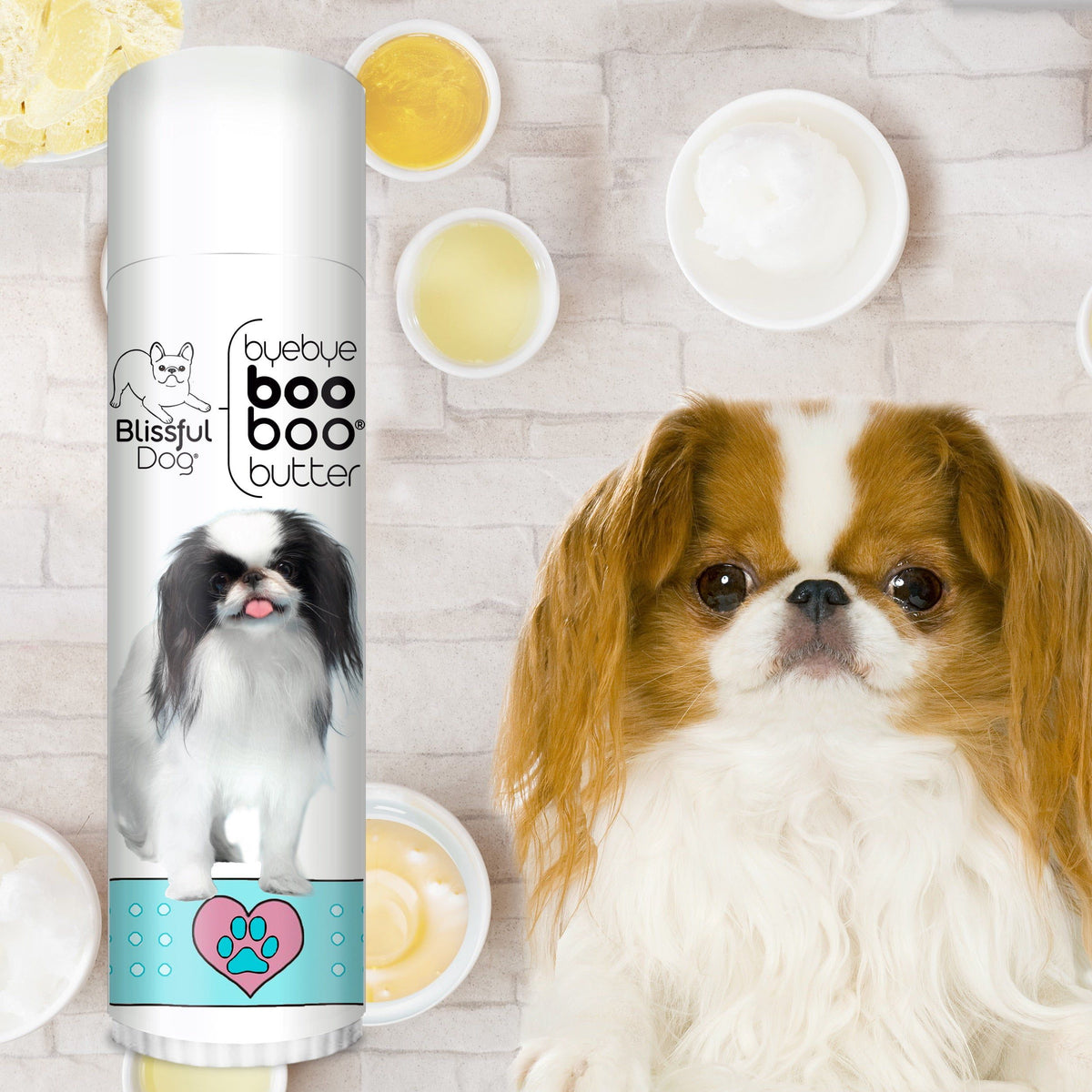 japanese chin dry skin