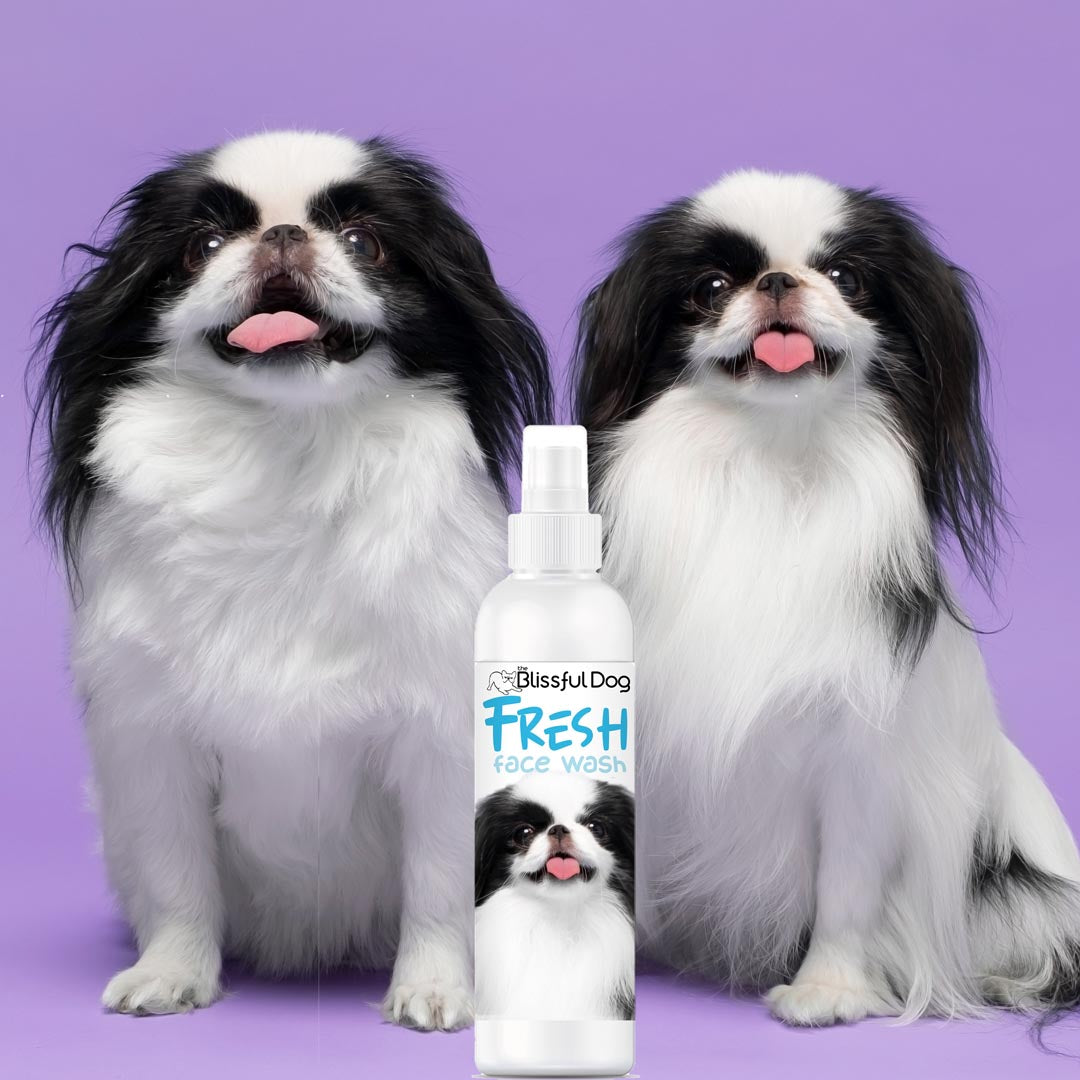 japanese chin tear stains