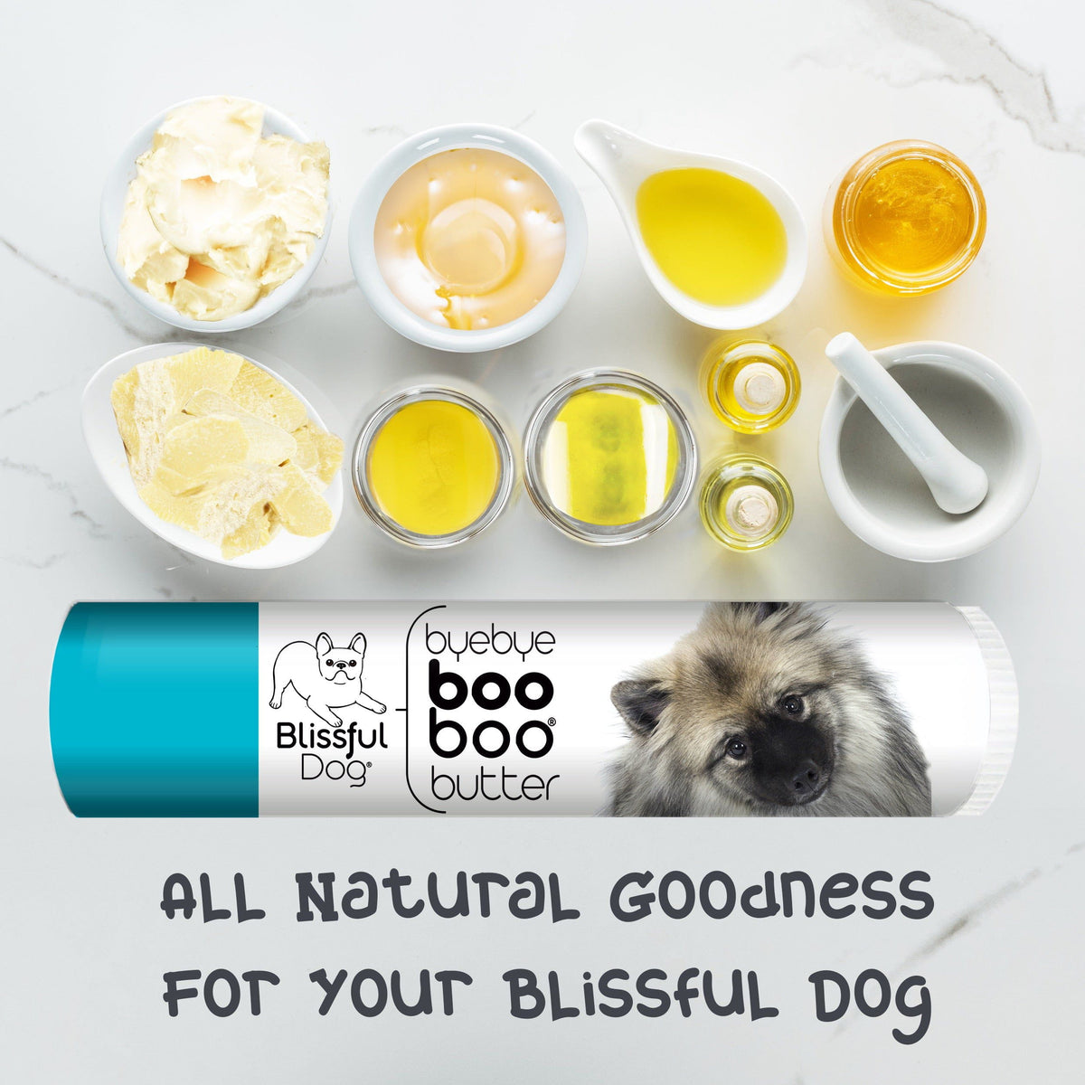 keeshond dog itchy skin