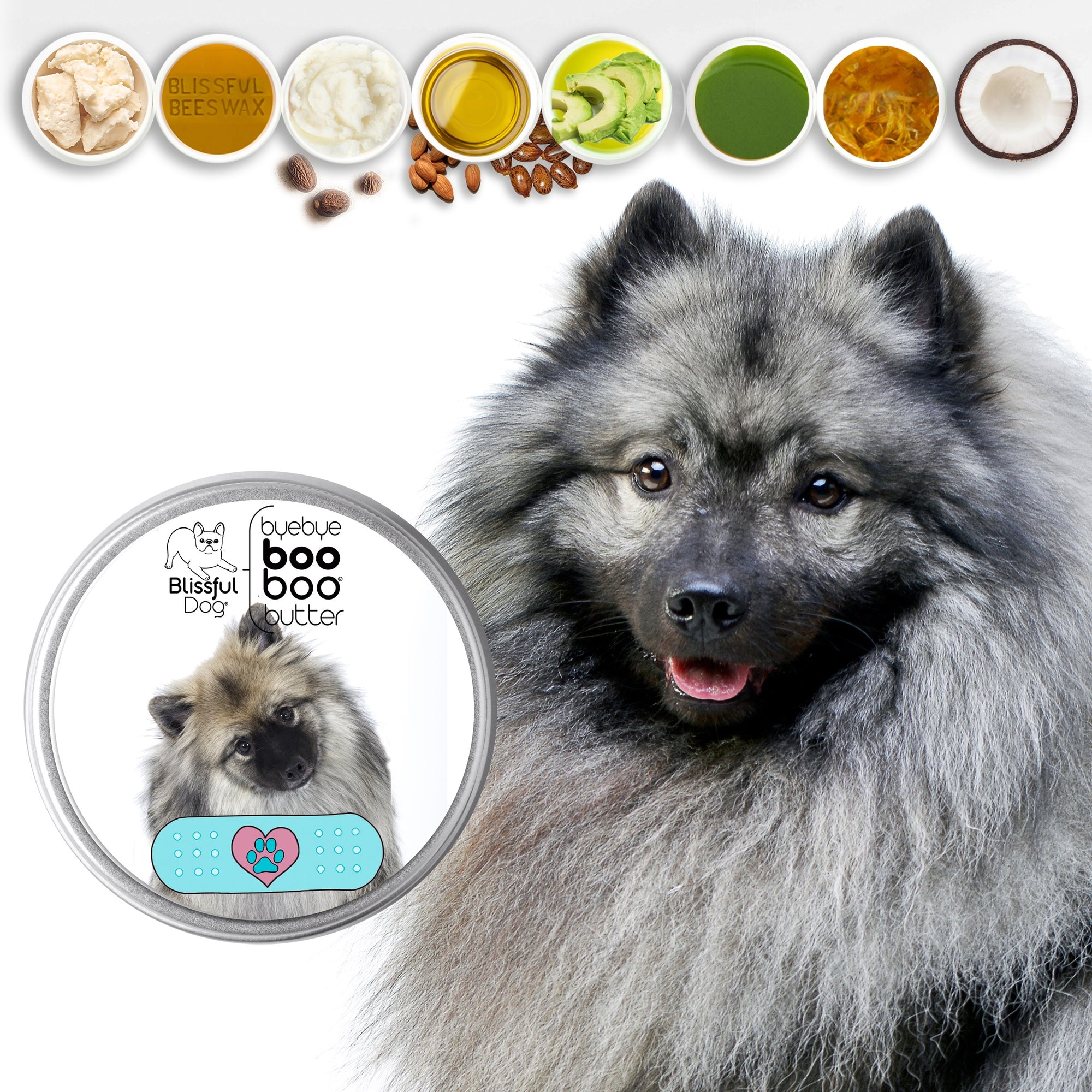 keeshond dog skin care