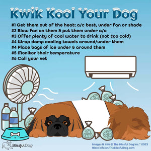 how to cool an overheated dog