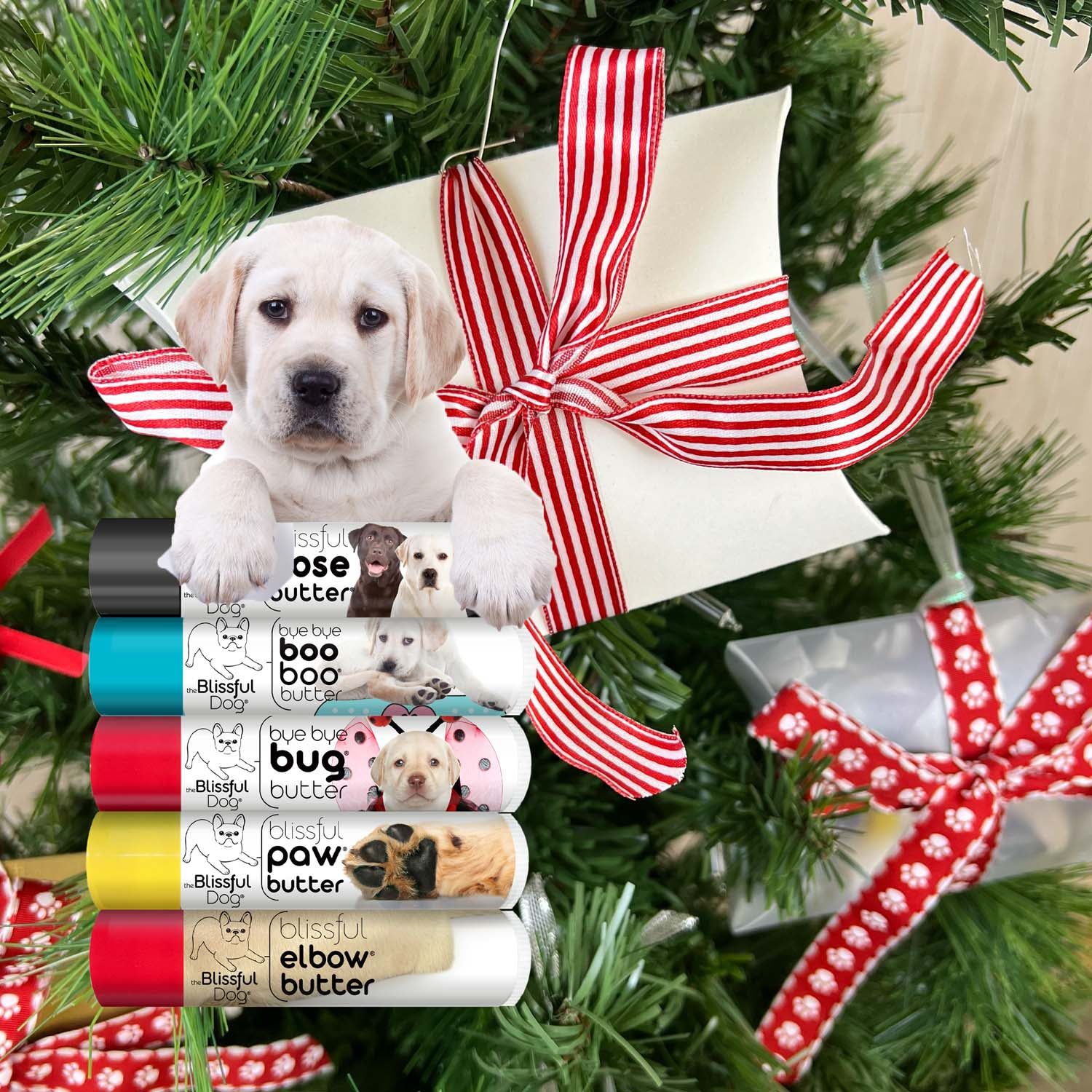 Christmas presents fashion for your dog