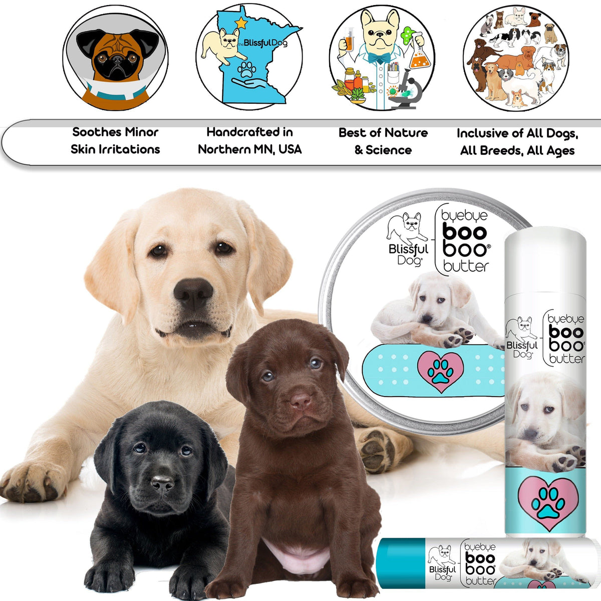 labrador retriever skin care