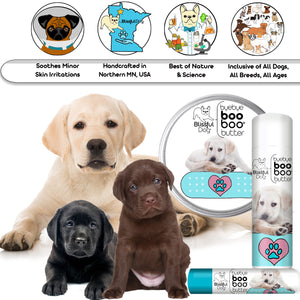 labrador retriever skin care