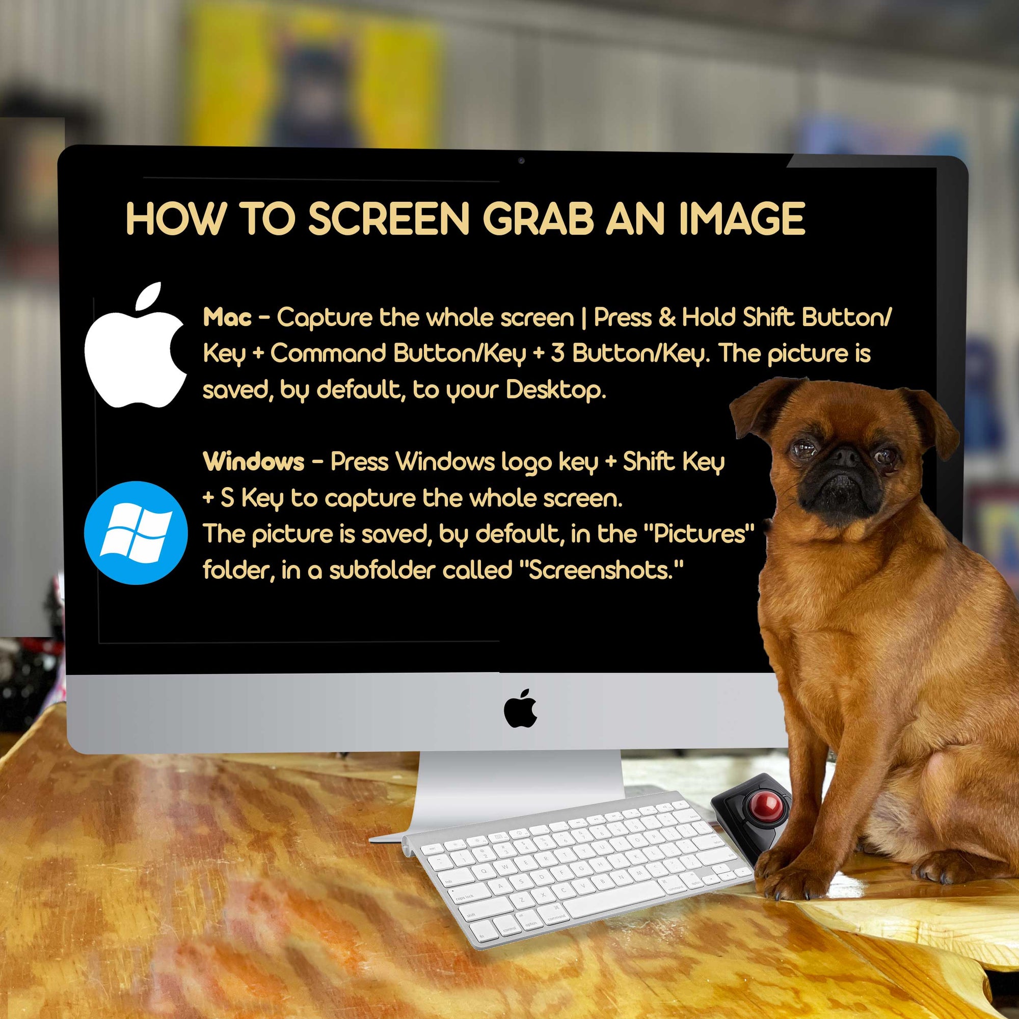 Screen Grab Pretti Bliss Tips | How To Get Photos to Customize Your Gift...Without Spoili ...