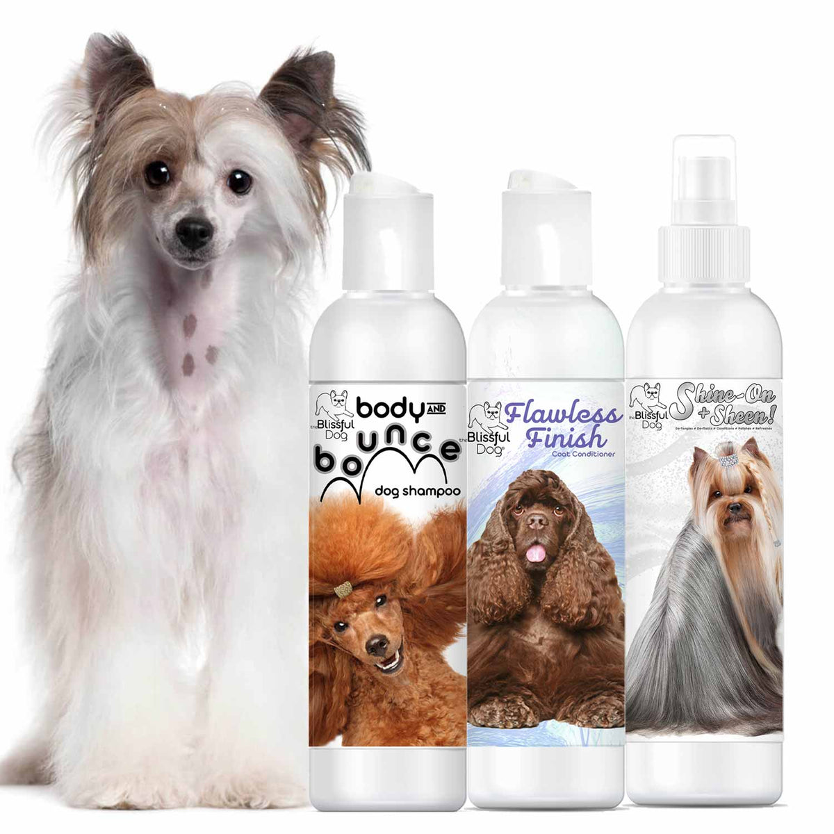 chinese crested shampoo